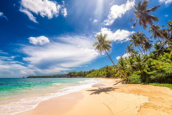Dominican Republic Beach Dominican Republic Beach